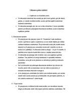 Biznesa plāns 'Biznesa plāns ekonomikā', 1.