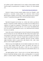 Referāts 'Referāts mūzikā', 7.