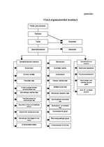 Referāts 'Valsts sociālās apdrošināšanas sistēmas attīstība Latvijā', 12.