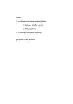 Referāts 'Valsts sociālās apdrošināšanas sistēmas attīstība Latvijā', 13.