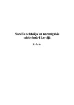Referāts 'Narcišu selekcija un nozīmīgākie selekcionāri Latvijā', 1.