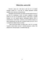 Referāts 'Audi', 23.