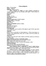 Konspekts 'Putnu ligzdas un olas', 8.