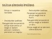 Prezentācija 'Silīcijs', 6.