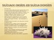 Prezentācija 'Silīcijs', 9.