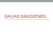 Prezentācija 'Galvas smadzenes', 1.