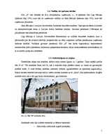 Biznesa plāns 'Juridiskā biroja biznesa plāns', 5.