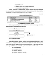 Biznesa plāns 'Juridiskā biroja biznesa plāns', 6.