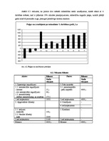 Biznesa plāns 'Juridiskā biroja biznesa plāns', 21.