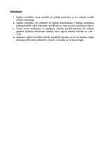 Paraugs 'Gaismas stara nobīde plakanparalēlā plāksnē', 6.