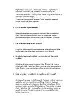 Konspekts 'Anatomija. Āda', 2.