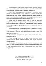 Paraugs 'Produkta grupa - kauleņaugļi', 3.