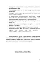 Paraugs 'Produkta grupa - kauleņaugļi', 12.