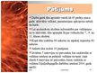 Prezentācija 'Aktīvāko vulkānu izvirdumu ģeogrāfija pasaulē laika posmā no 2005.-2010.gadam', 14.