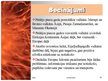 Prezentācija 'Aktīvāko vulkānu izvirdumu ģeogrāfija pasaulē laika posmā no 2005.-2010.gadam', 20.