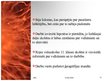 Prezentācija 'Aktīvāko vulkānu izvirdumu ģeogrāfija pasaulē laika posmā no 2005.-2010.gadam', 21.