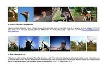 Konspekts 'Ceļojuma plāns. Muhu sala', 5.