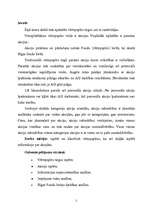 Referāts 'Akcijas vērtspapīru tirgū', 3.