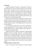 Referāts 'Akcijas vērtspapīru tirgū', 19.