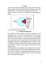 Referāts 'Atsevišķu iedzīvotāju grupu nodarbinātības problēmas Latvijā', 16.