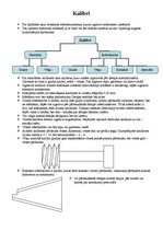 Konspekts 'Kalibri un to veidi', 1.