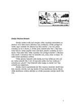 Referāts 'Skaitļotāju attīstības vēsture', 3.