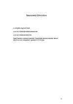 Referāts 'Skaitļotāju attīstības vēsture', 15.