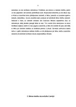 Referāts 'Bērnu tiesību aizsardzība internetā', 4.