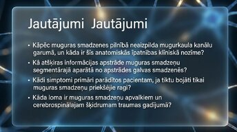 Prezentācija 'Muguras smadzenes', 15.