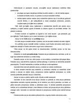 Referāts 'Akciju sabiedrība', 11.