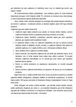 Referāts 'Akciju sabiedrība', 13.