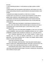 Referāts 'Akciju sabiedrība', 16.