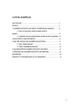 Referāts 'Jauniešu iniciatīvu projekti', 2.