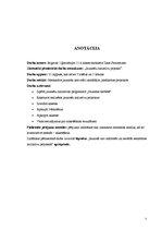 Referāts 'Jauniešu iniciatīvu projekti', 3.