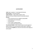 Referāts 'Jauniešu iniciatīvu projekti', 4.