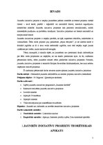 Referāts 'Jauniešu iniciatīvu projekti', 5.