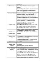 Referāts 'Jauniešu iniciatīvu projekti', 7.