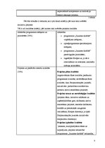 Referāts 'Jauniešu iniciatīvu projekti', 9.