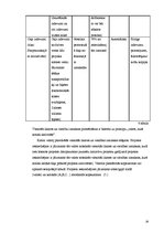 Referāts 'Jauniešu iniciatīvu projekti', 18.