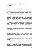 Referāts 'Jauniešu iniciatīvu projekti', 21.