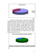 Referāts 'Jauniešu iniciatīvu projekti', 25.