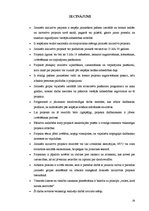 Referāts 'Jauniešu iniciatīvu projekti', 29.