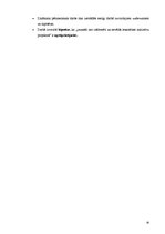 Referāts 'Jauniešu iniciatīvu projekti', 30.