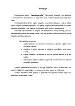 Referāts 'Digitālā fotogrāfija', 3.