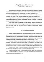 Referāts 'Digitālā fotogrāfija', 13.