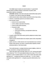 Referāts 'Zemes vienības sadalīšana komercdarbības objektu apbūvei', 3.