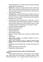 Referāts 'Zemes vienības sadalīšana komercdarbības objektu apbūvei', 9.