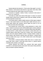 Referāts 'Tūrisma maršruti Bēnes pagastā', 31.