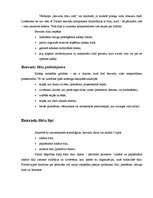 Referāts 'Bezvadu tīkli', 4.