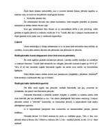 Referāts 'Bezvadu tīkli', 6.